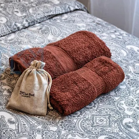 Le Nid Setois Apartment Sète